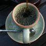 Black Ivory Coffee –     