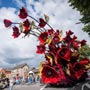   Bloemencorso Zundert 2015